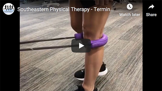 Terminal Knee Extension