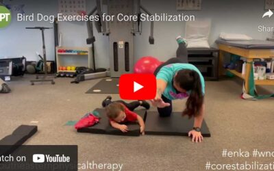 Bird Dog Exercises for Core Stabilization