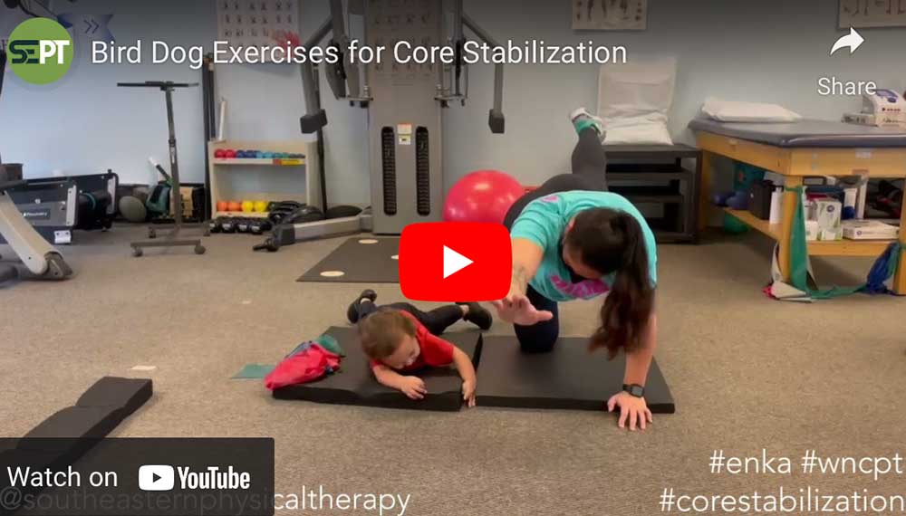 Bird Dog Exercises for Core Stabilization