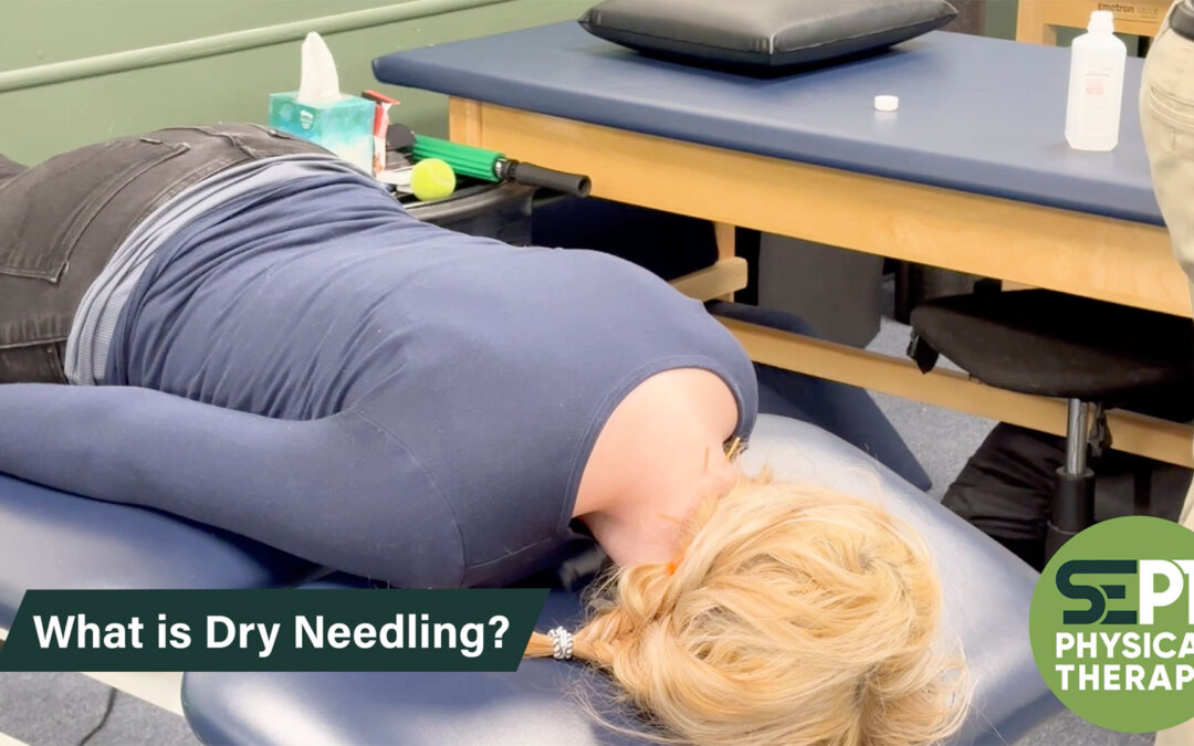 Travis Routh, PT, DPT Explains Dry Needling at Our Canton, NC Clinic